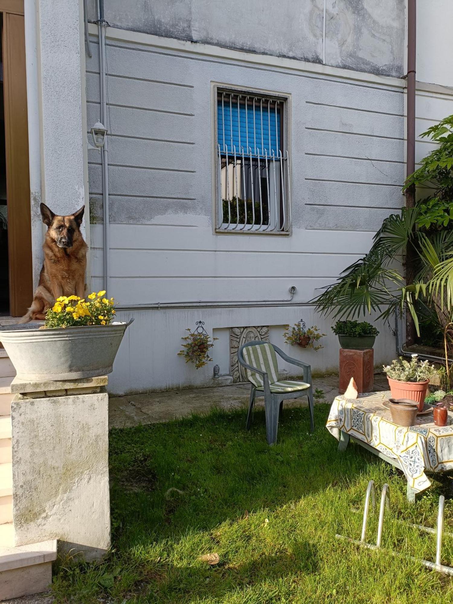 Chez Mavipagi B&B Verona Bagian luar foto